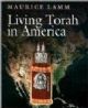 101268 Living Torah in America
